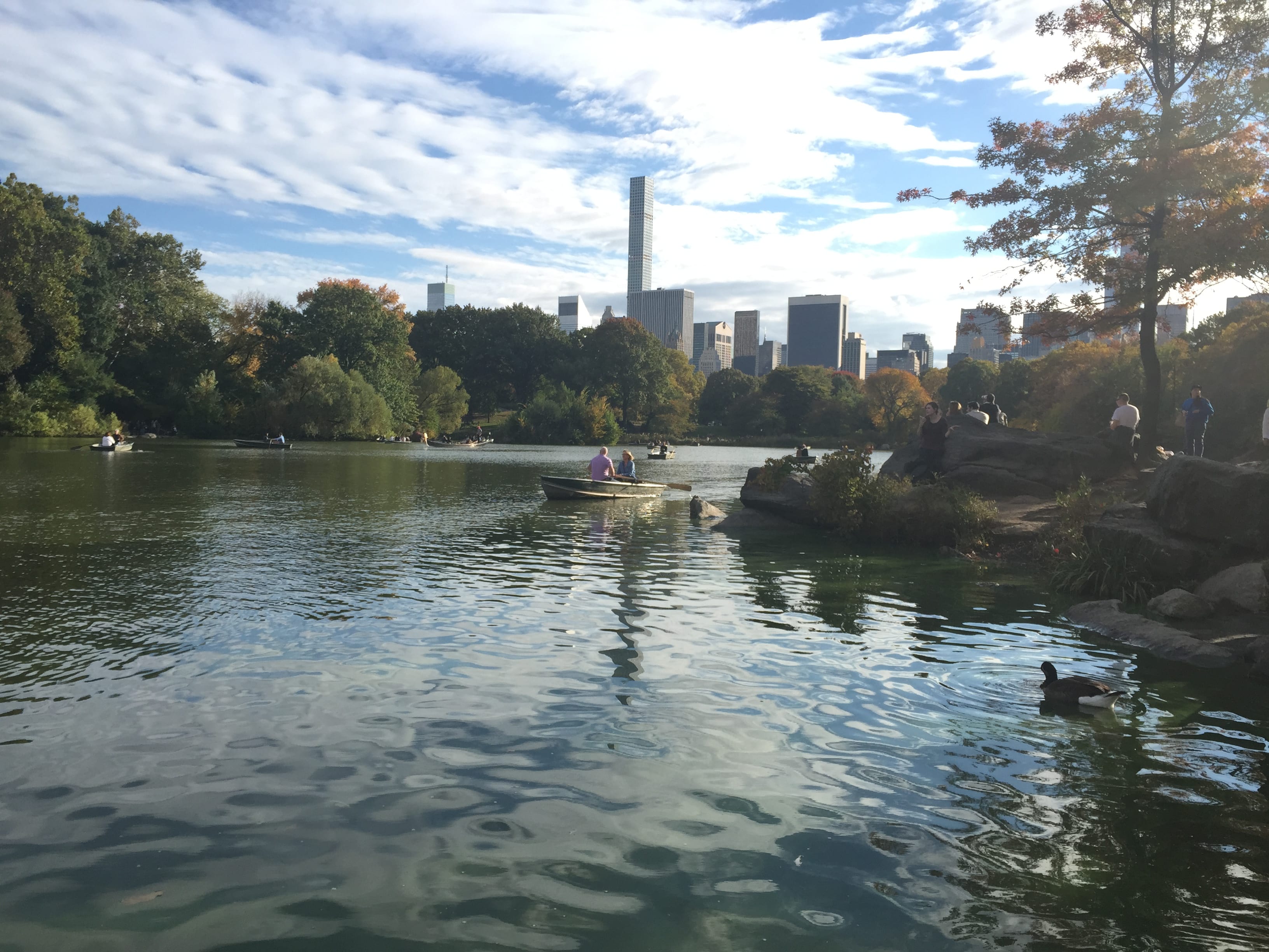 Central Park New York City