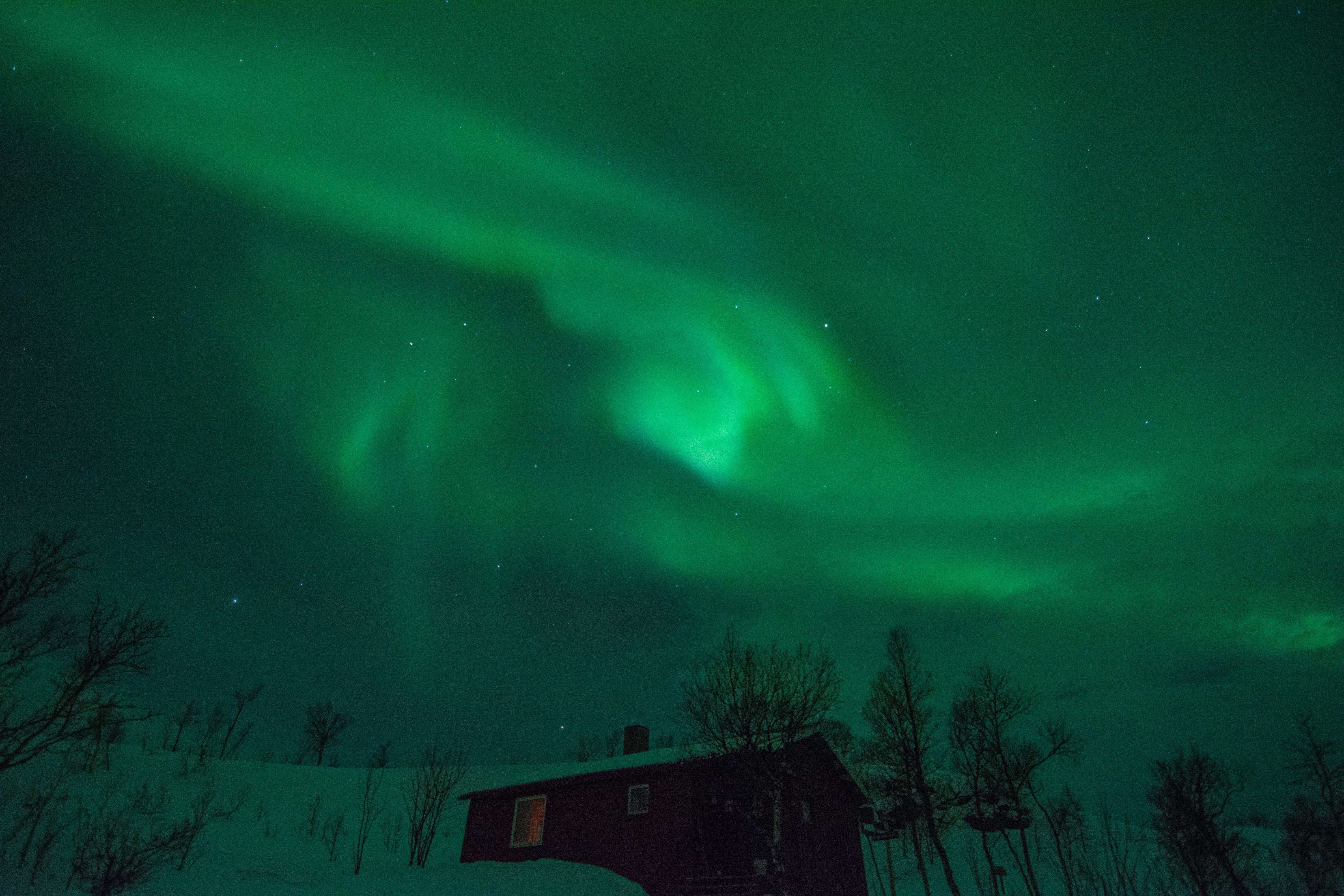Aurora over a hikers cabin on the island of Senja.